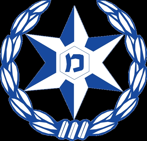 משטרת ישראל 100