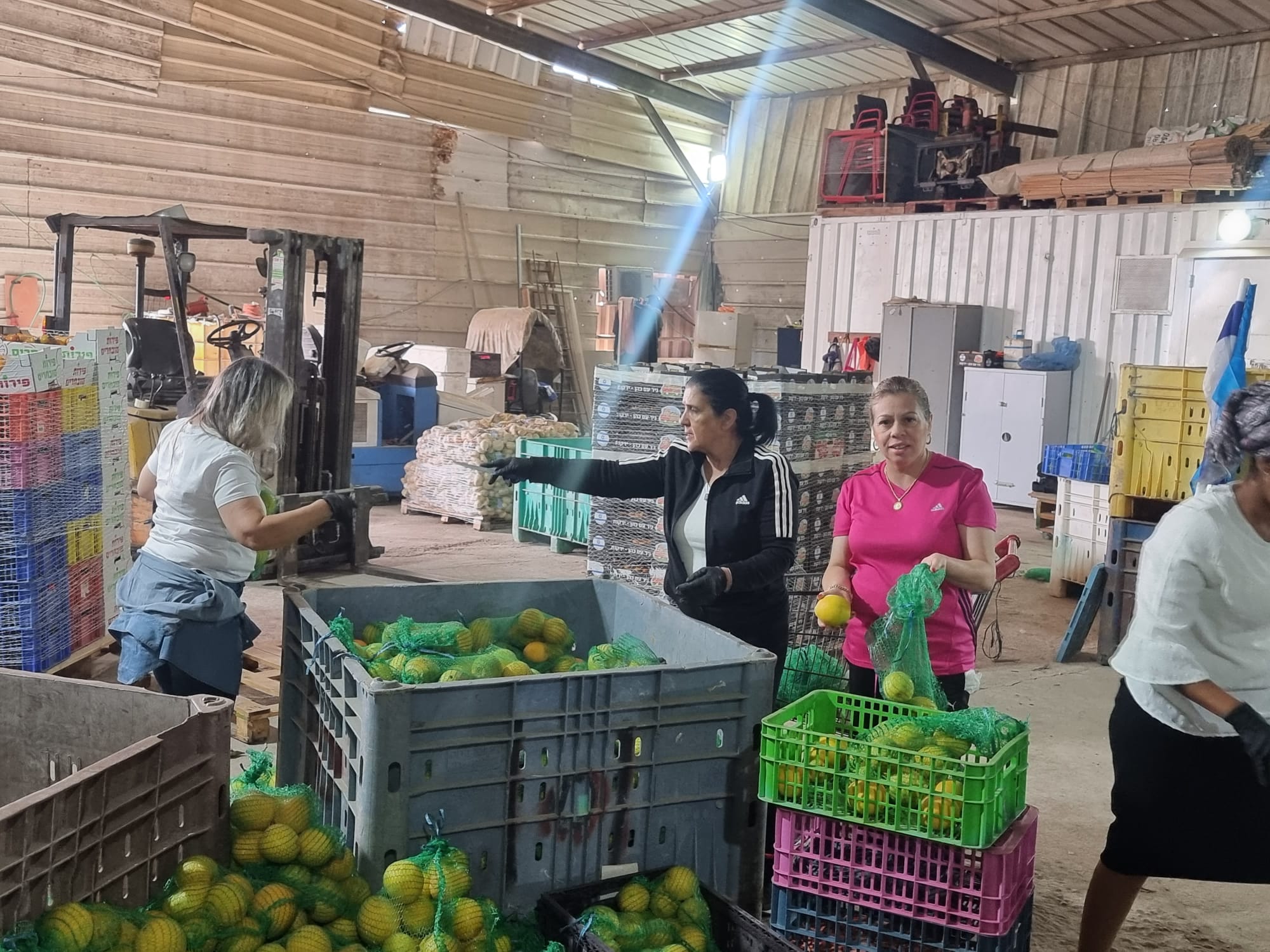 מסייעים בצו 8 לחקלאות: עובדי עיריית יבנה נרתמו למשימה הלאומית לסייע לחקלאי הדרום-2