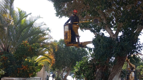 סערה (2).jpeg