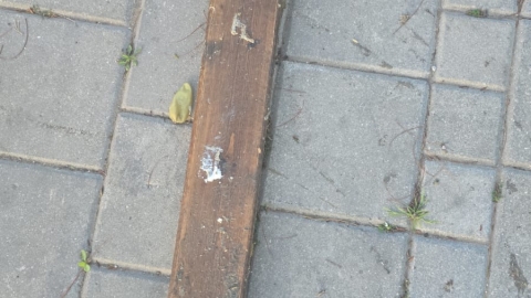 פינוי אשפה (3).jpeg