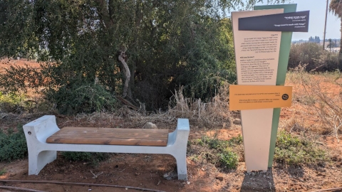 תל יבנה (7).jpg