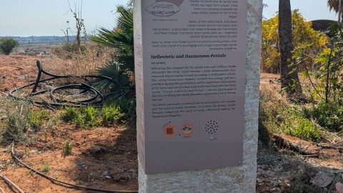 תל יבנה (8).jpg