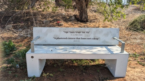 תל יבנה (9).jpg