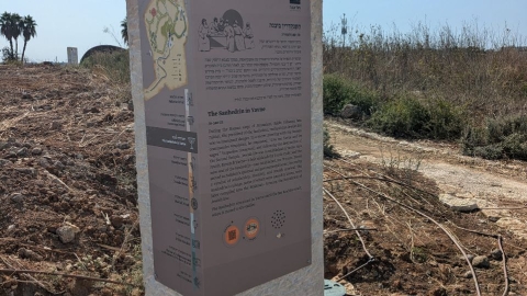 תל יבנה (11).jpg