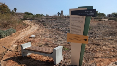 תל יבנה (13).jpg