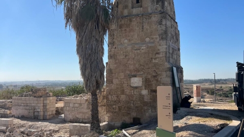 תל יבנה (3).jpeg
