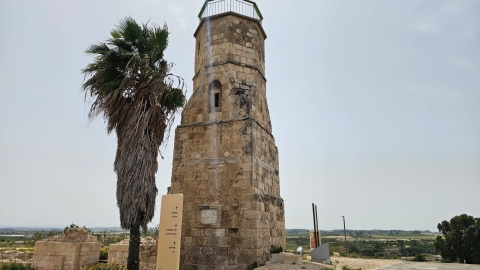 תל יבנה (2).jpeg