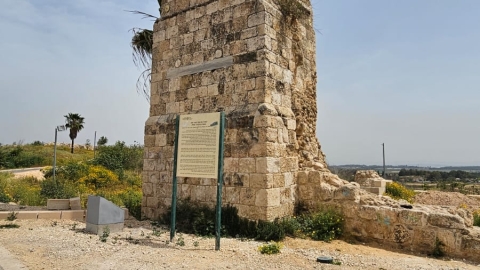 תל יבנה (3).jpeg