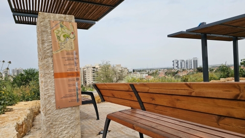 תל יבנה (9).jpeg