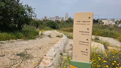 תל יבנה (11).jpeg
