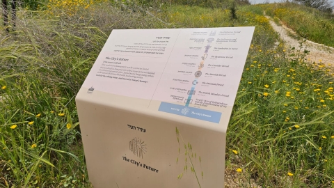 תל יבנה (14).jpeg