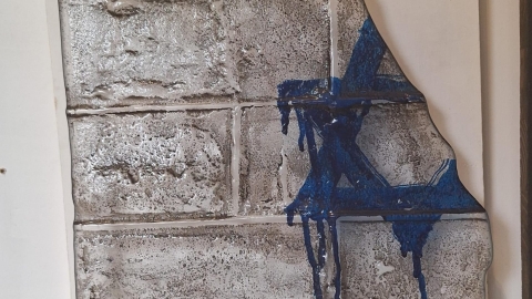 מירה מיילור-גרעינים שחורים.jpg